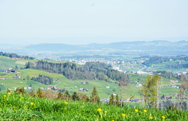 Panoramablick - Foto 13