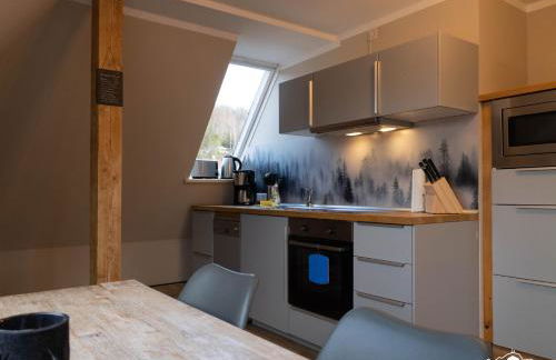 Auszeit-im-Harz Haus 1 Wohnung Brockenspitze - Foto 19