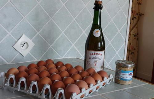 TY ANN maison avec jardin clos de mur, à proximité des commerces et à 3km des plages - Foto 12