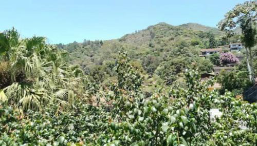 Pertinho de tudo 3 - Foto 4