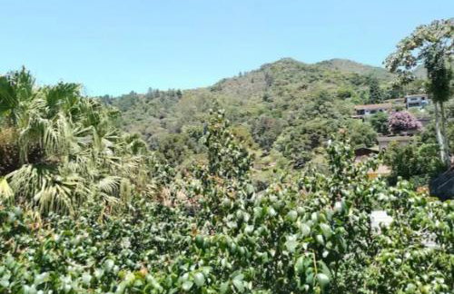 Pertinho de tudo 3 - Foto 4