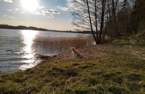 Zacisze nad Rospudą - Foto 37