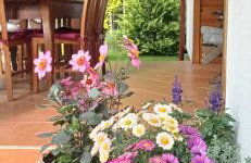 Siedlisko Gruszki Puszcza Białowieska - Foto 46