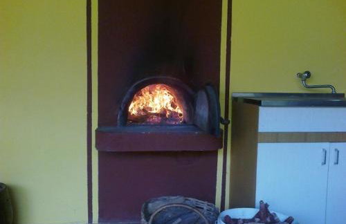 Seoski Turiziam Larva - Photo 16