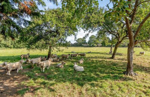 Cottage in North Somerset - Foto 20