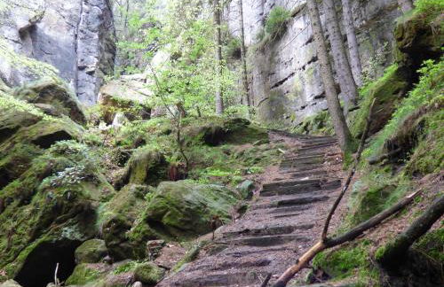 Ferienwohnung Büchsenhof - Foto 19