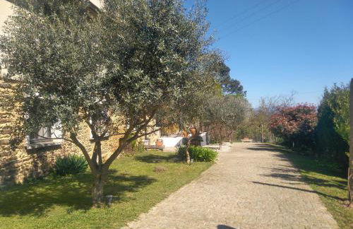 Quinta do Senhor - Foto 13