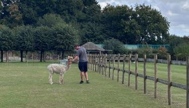 Couples Spring Break With Alpacas & Private Hot Tub in the Quaint Dorset Countryside with BBQ - Foto 2