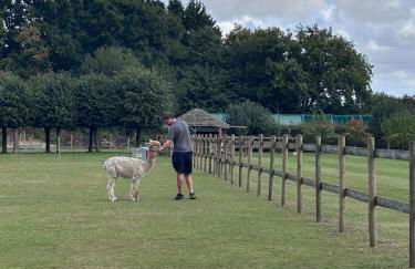 Romantic Luxury Cabin & Hot Tub near New Forest Dorset - Photo 34