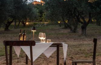 Terra di Gradara - Foto 134