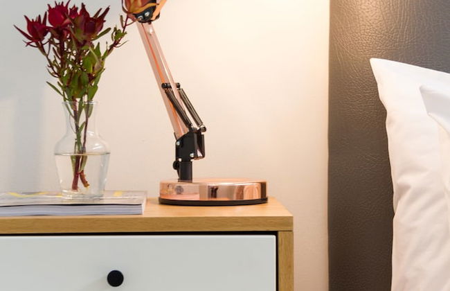 WINK Quiver Tree - Foto 9