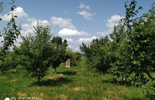 Noclegi Małgorzatka - Foto 29