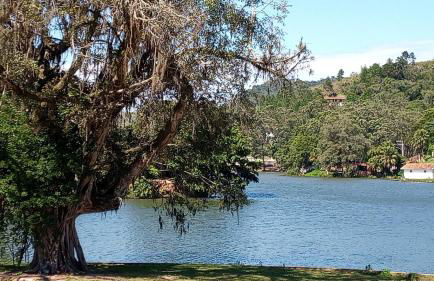 Kitnet Aurora - Foto 33