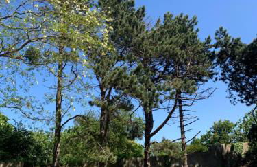 Chalet de vacances au bord de mer VER SUR MER - Foto 7