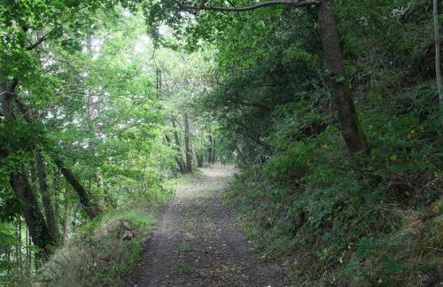 Gîte de Charme pour 6 pers, Jardin & Étang privé - FR-1-496-157 - Foto 29