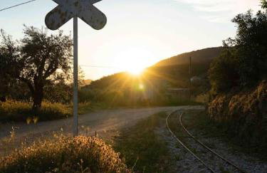 Andromachi - Foto 25