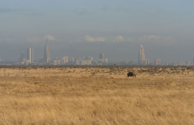 Nyati Hill Cottages - Foto 18