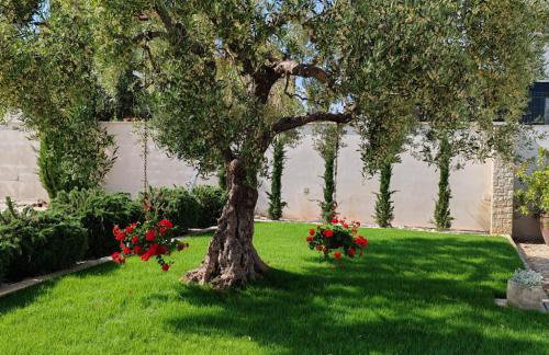 Villa Roza - Foto 66