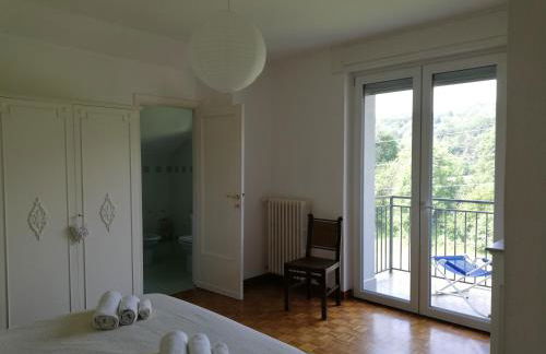 I tulipani - Foto 25