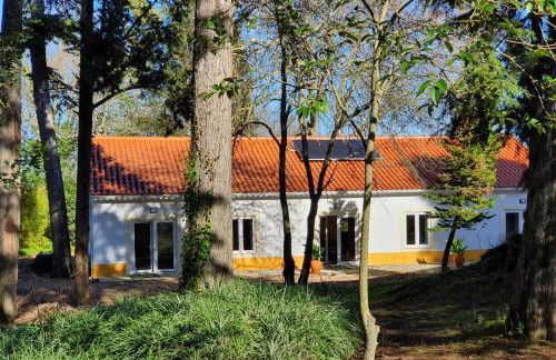 Quinta da Bizelga Cottages - Foto 15