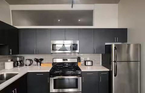 Spacious South Loop 2BR Apartment Near McCormick Place, Soldier Field & Downtown Chicago - Foto 34