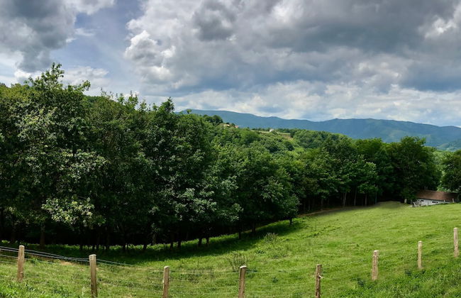 Cabañas Deluxe Basajaun Basoa by IrriSarri Land - Foto 32