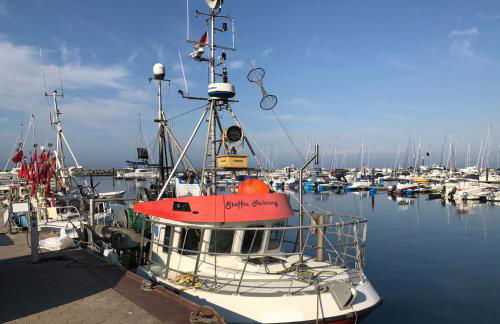 Ferienresidenz am Salzhaff - Foto 57