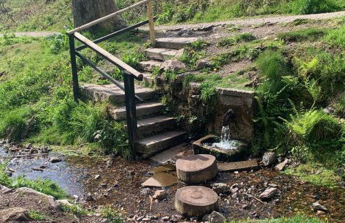 Liebevolles Appartement-Erholung pur in Bad Sachsa - Foto 8