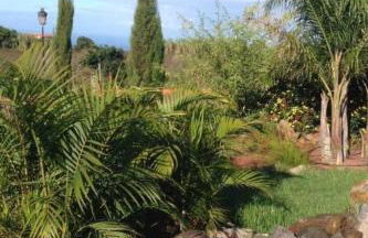 Holiday Home Finca Los Vinedos by Interhome - Foto 17