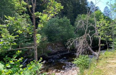 Charming 55m near hiking trails - Foto 10