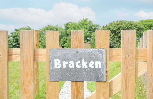 Bracken - Foto 17