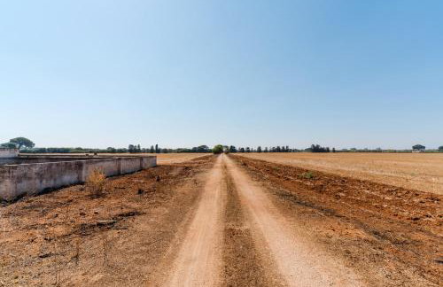 Masseria Delle Api - Foto 8