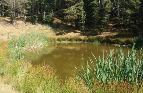 Appartamento Borgo Mezzo - Foto 29