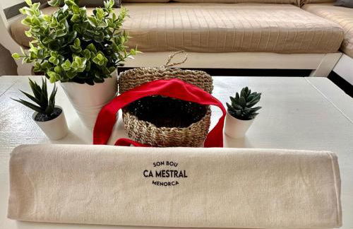 Ca Mestral Son Bou Urbanización típica menorquina. - Foto 3