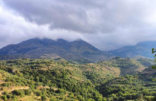 Rocky Mountain Villa - Foto 40