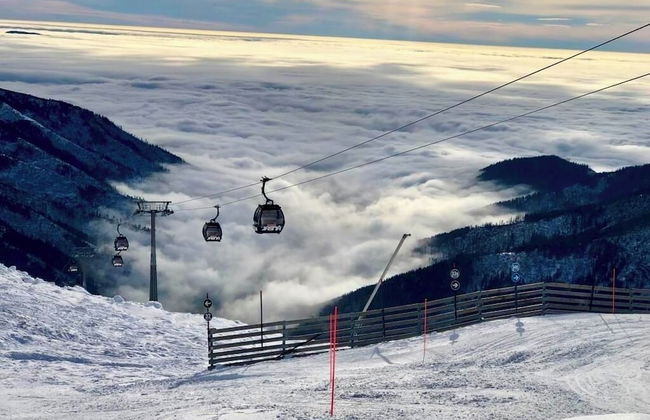 Miracle Seasons - Foto 56