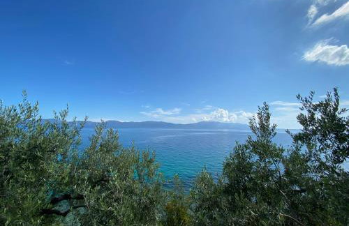 Apartments Ante - Foto 52