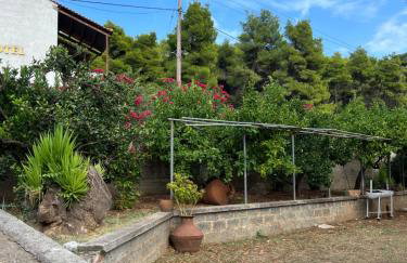 Elios Summer House - Foto 30