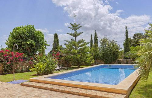 Finca Antonio - Foto 7