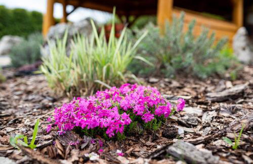 SKALNY apartamenty, pokoje - Foto 61