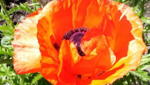 Ferienwohnung Resch Schweinberg - Foto 5