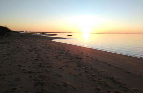 Le Cabanon doré, Suite SPA et nature chez Ivona Vacances - Photo 6