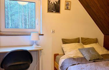 Kurort Mirowice-domek w lesie, z balią z jacuzzi i hydromasażem - Foto 44