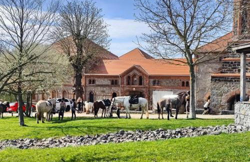 TinyHousebeiDresden in absoluter Alleinlage direkt am Naturteich große Terrasse Grill und Kaminofen Juni - September Mindestmietzeit 1 Woche Sa- Sa - Foto 24