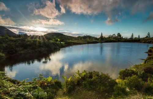 Val's Place - Photo 24