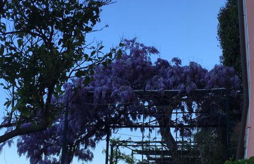 Villa CieloMare - Foto 66