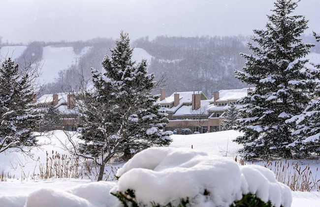 Blue Mountain - Photo 21