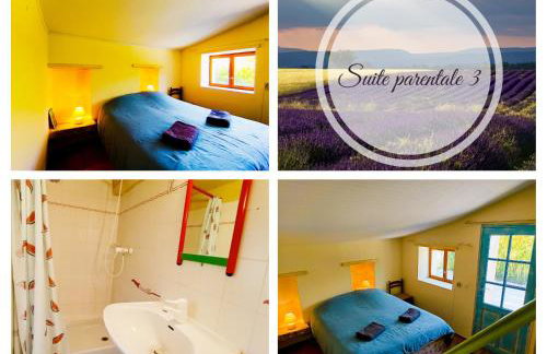 Domaine Provençal "Le Timon" - Foto 4