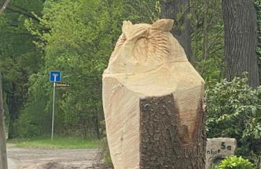 Ferien im Bomlitztal - Foto 58