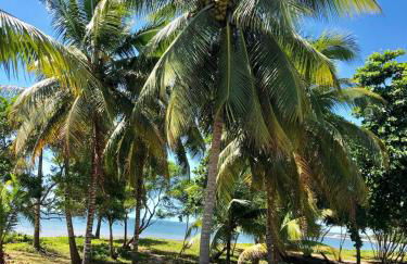 Paraíso Tropical em Porto Seguro - Foto 75